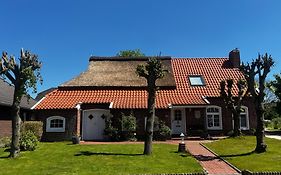 Lindenhuus-Urlaub unter einem Teilreetdach-Terrasse - Nahe Norden-Norddeich